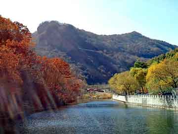 2025澳门天天开好彩大全开奖记录,澳门彩票的奥秘，探索未来开奖记录之旅（2023年至2025年）